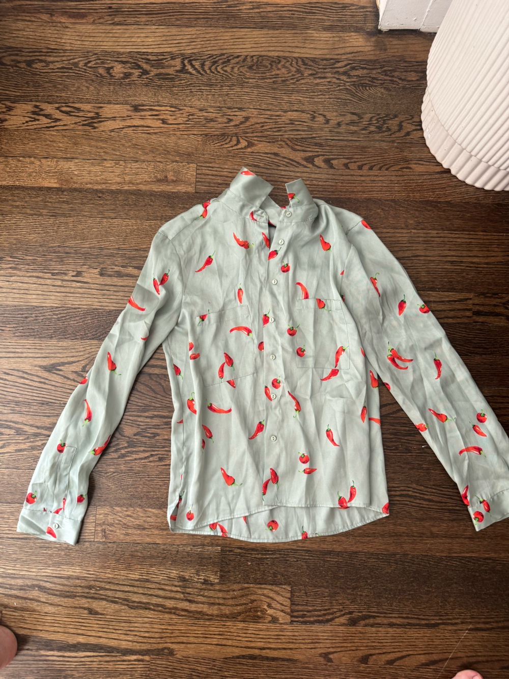 Zara Light Sage Button-Down Shirt with Red Chili Print